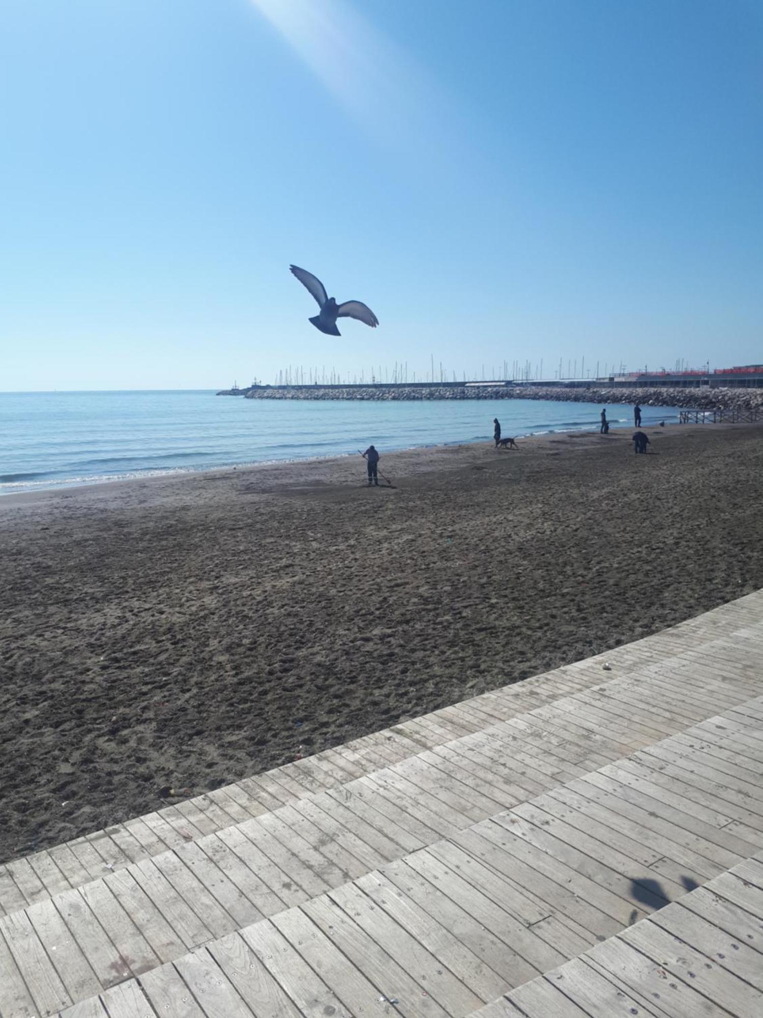 Salerno Centraal Apartment ภายนอก รูปภาพ